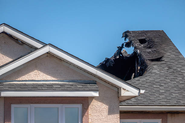 Top rated local Fire Board Up specialists in Wilson, PA